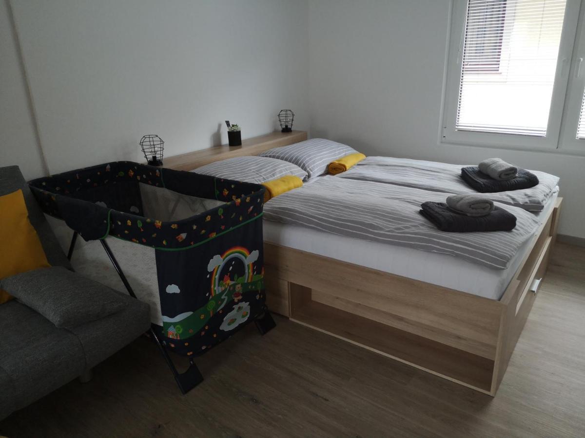 Apartma Studio Jana 크라니스카고라 외부 사진