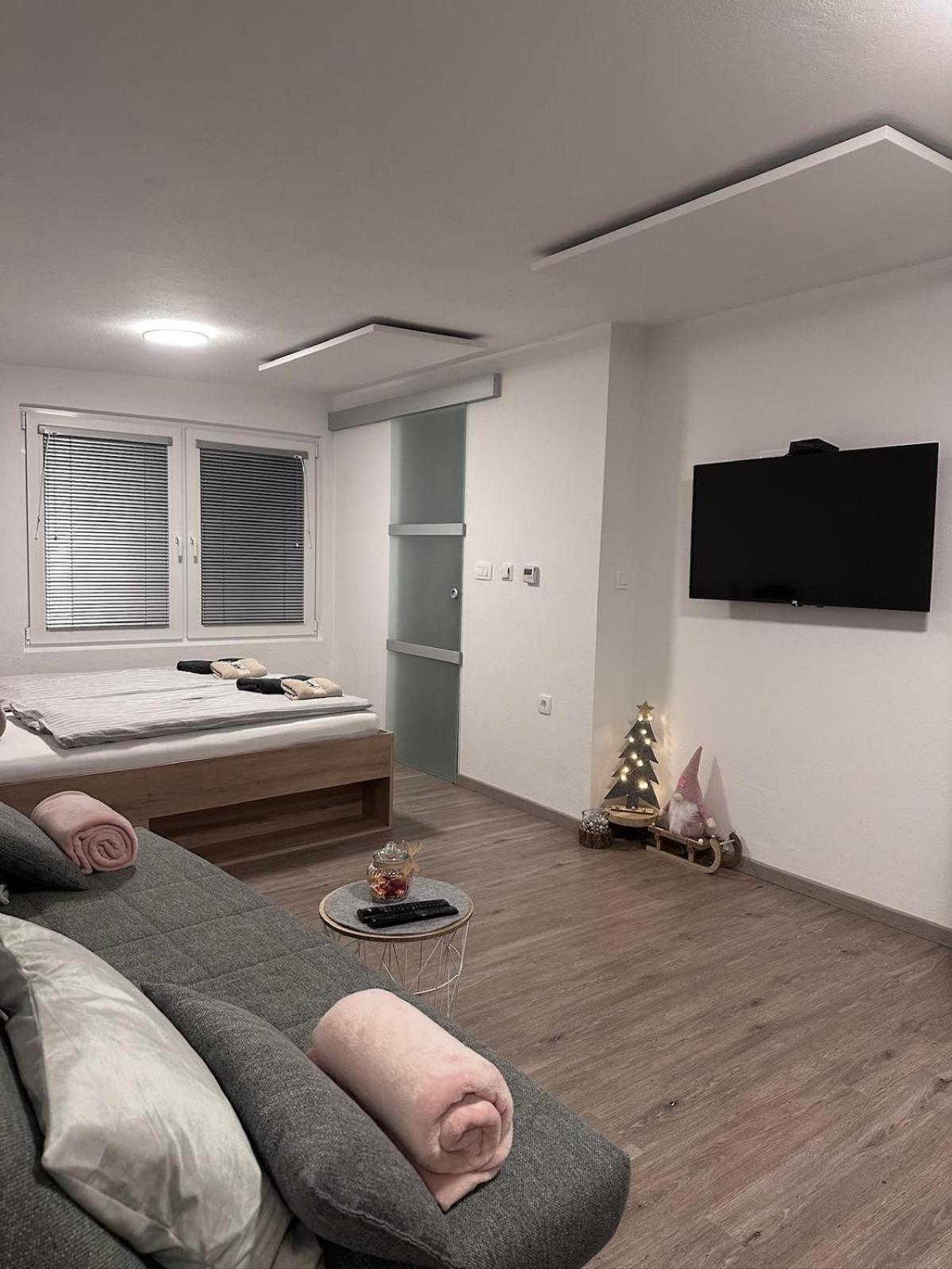 Apartma Studio Jana 크라니스카고라 외부 사진